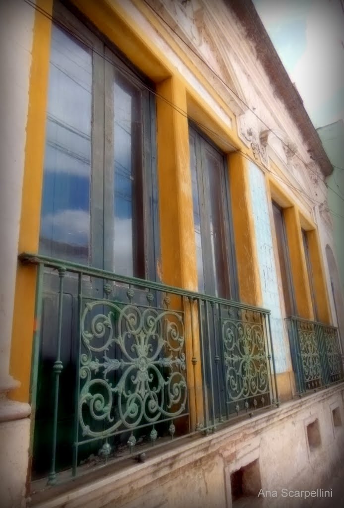Pelotas - RS   ©Ana Maria Westphalen Scarpellini