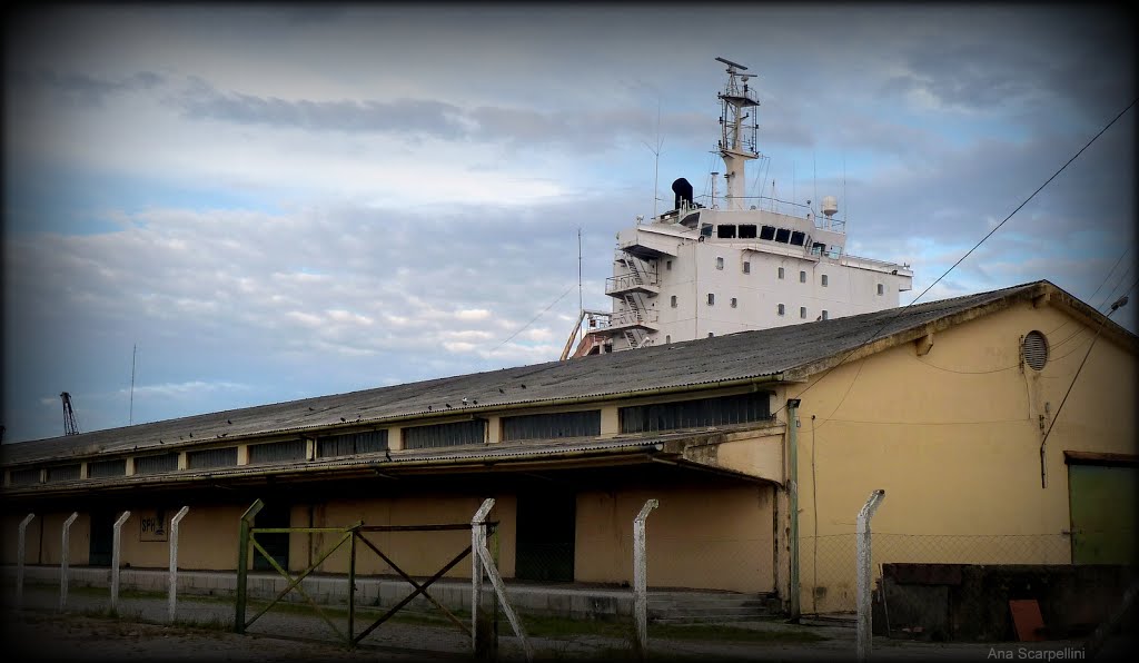 Porto de Pelotas RS      ©Ana Maria Scarpellini