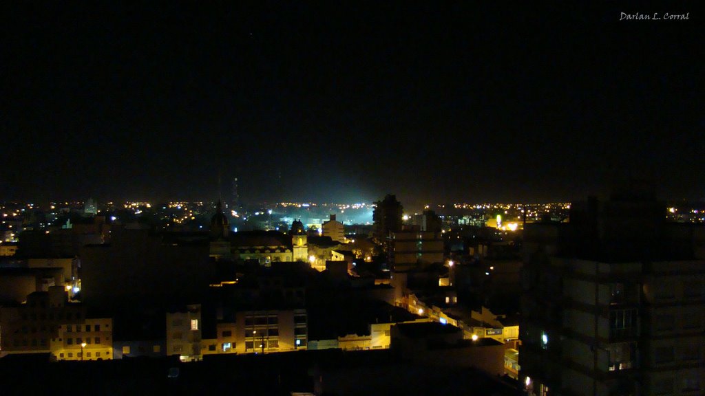 VISTA PARCIAL - PELOTAS