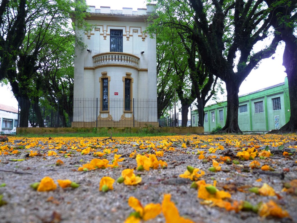 Antiga Escola Dna Antonia
