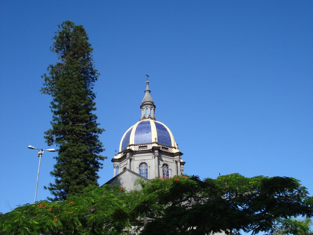 Catedral x divinos azuis