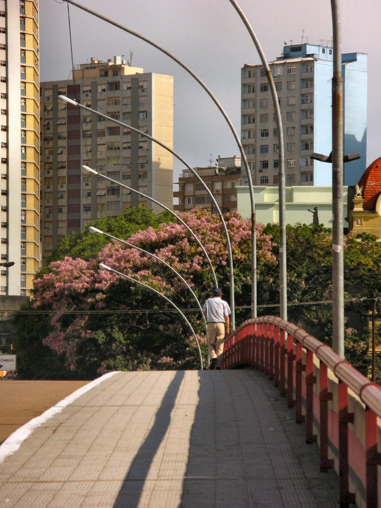 Viaduto Imperatriz Leopoldina