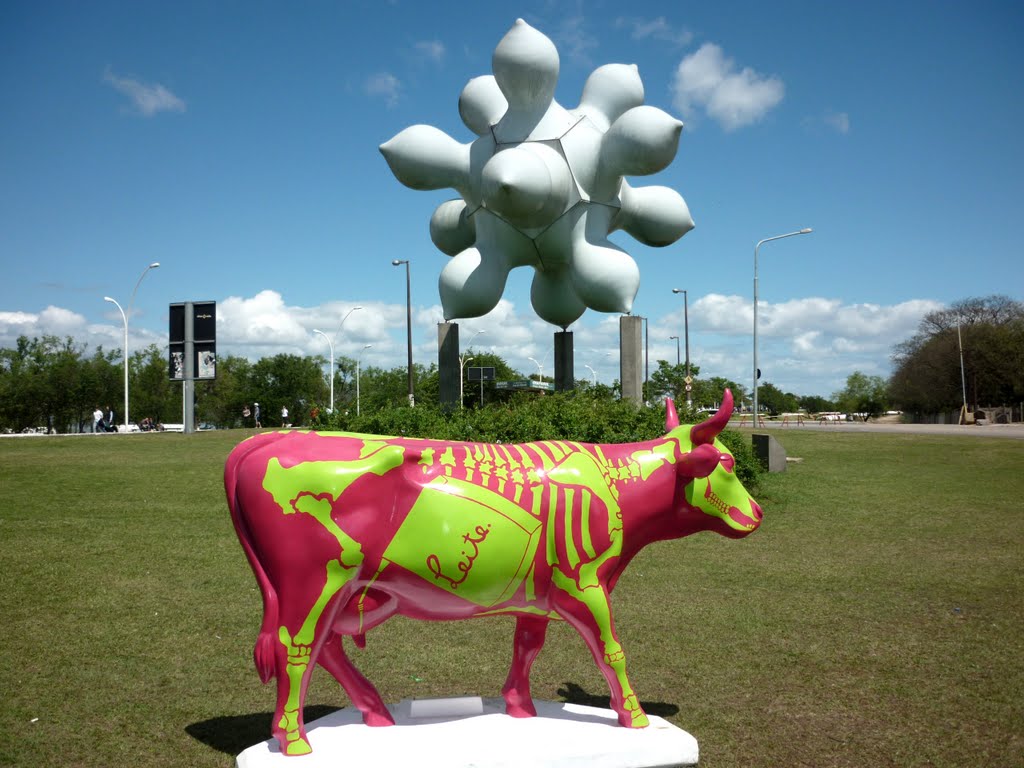 "Vaca Integral" - Igor Escalante Casenote _ Rótulas das Cuias (Sílvia Schuma)