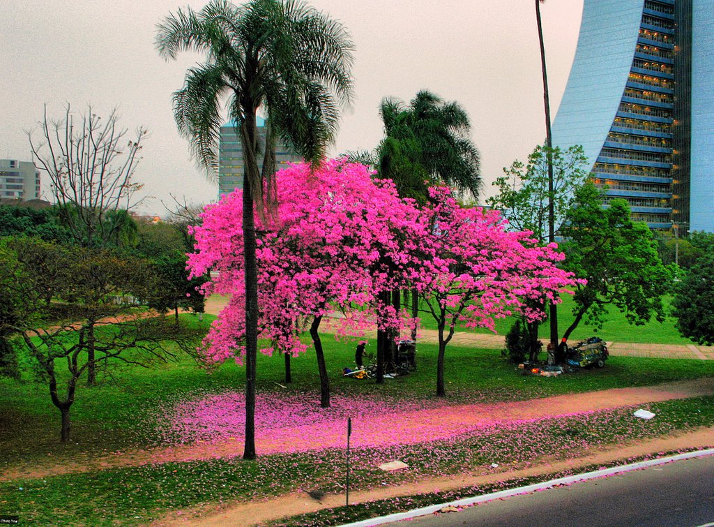Largo dos Açorianos