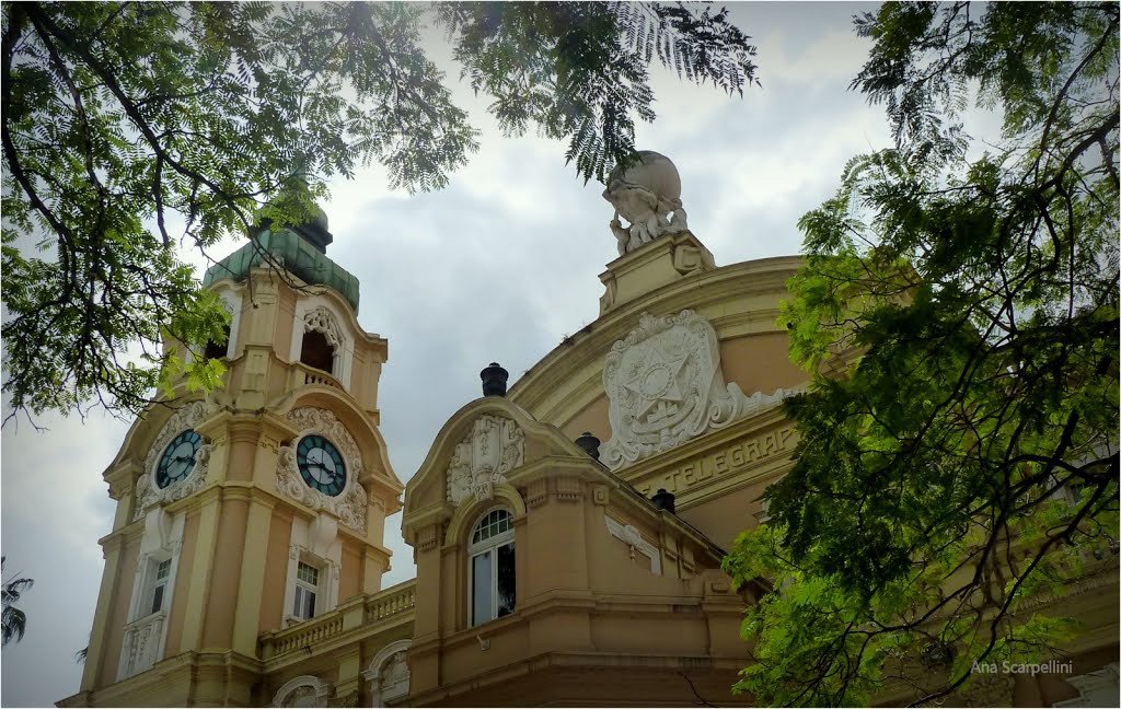 Porto Alegre  , RS      ©Ana Maria Scarpellini