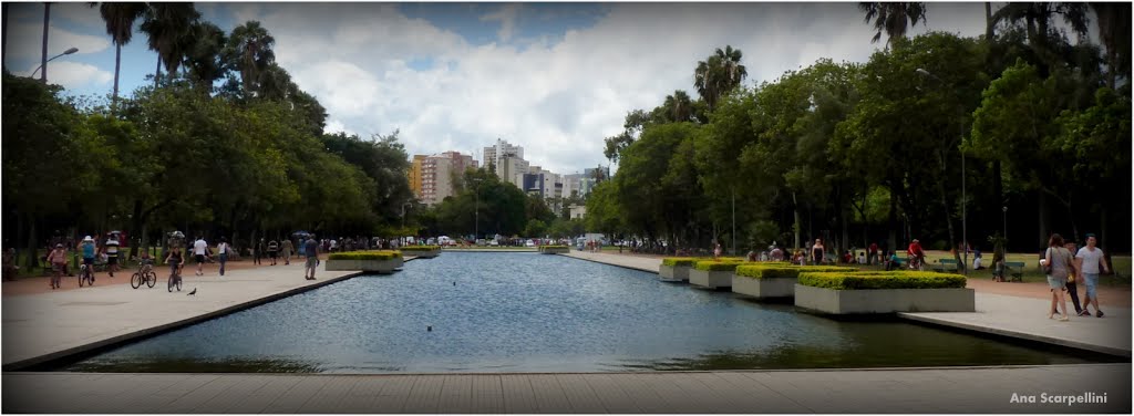 Parque Farroupilha (Redenção)  Porto Alegre - RS     ©Ana Maria Scarpellini