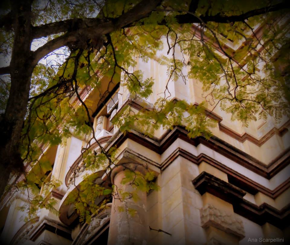 Porto Alegre  , RS    ©Ana Maria  Westphalen Scarpellini