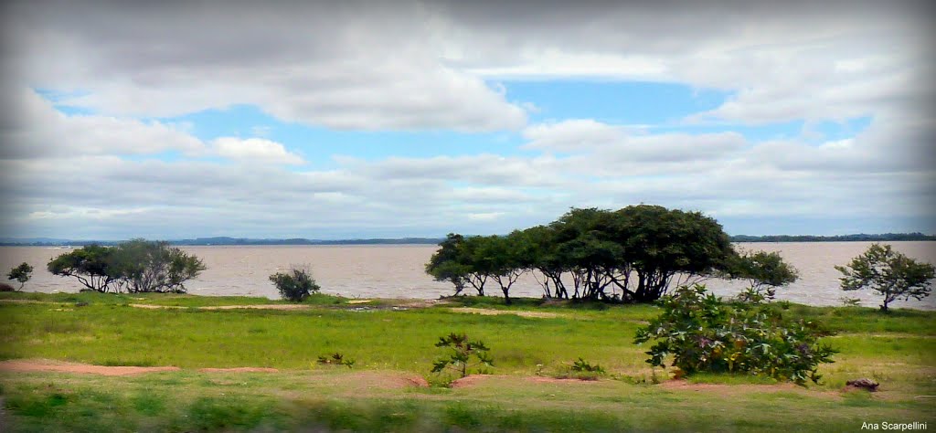 Avenida Beira Rio- Rio Guaíba , Porto Alegre  - RS            ©Ana Maria Westphalen Scarpellini