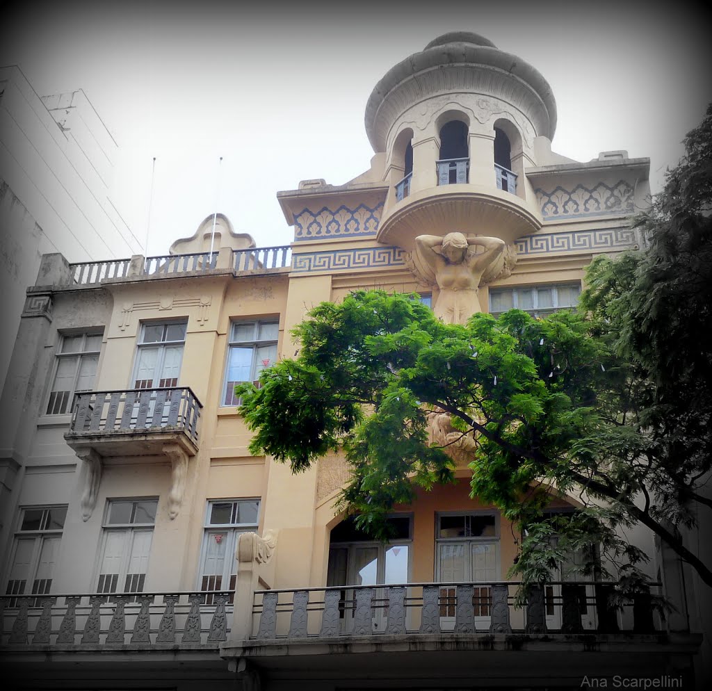 Rua dos Andradas - Porto Alegre   RS          ©Ana Maria Westphalen Scarpellini