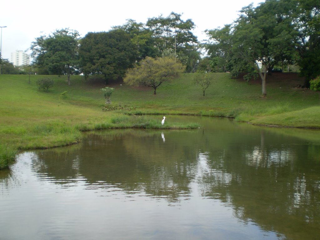 LAGOA NO PARQUE VITORIA REGIA - BAURU