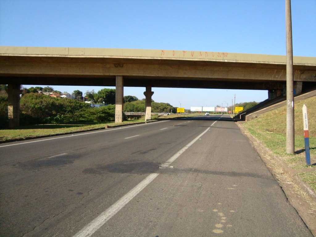 Viaduto da Rod. Marechal Rondon