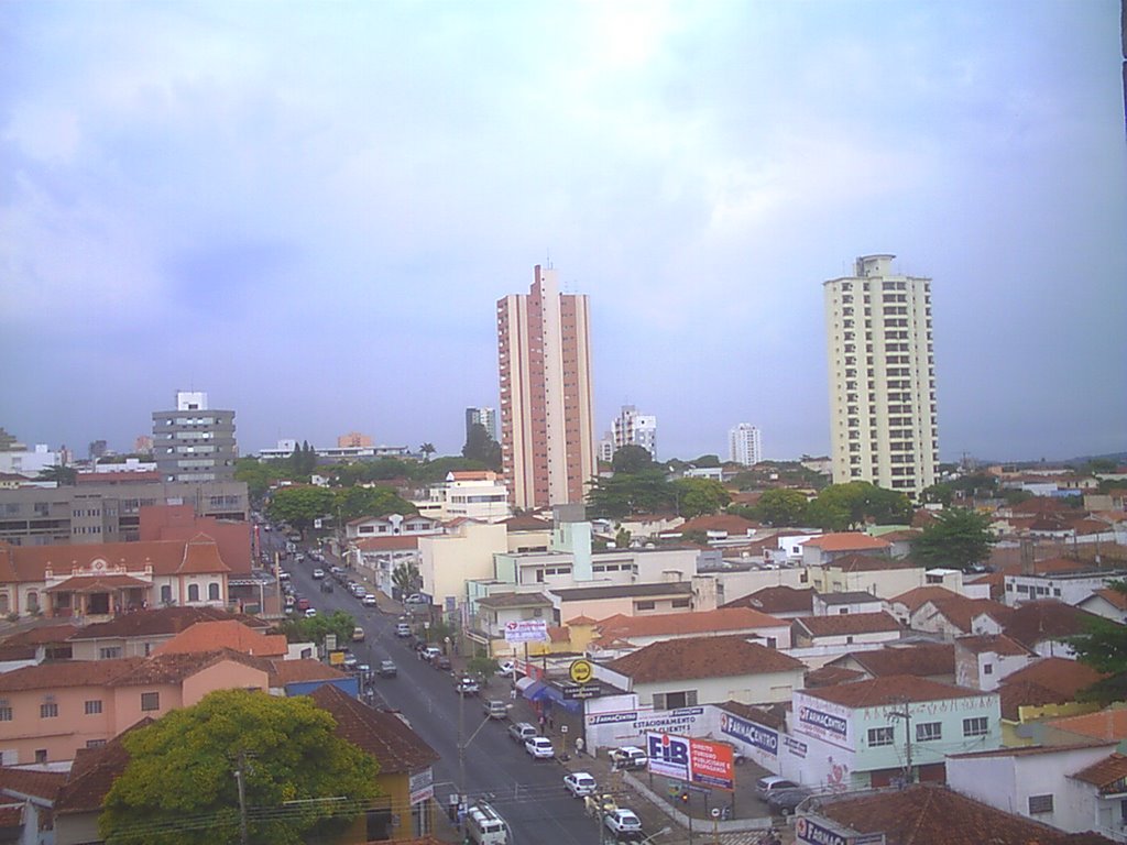 Vista Jardim das Cerejeiras