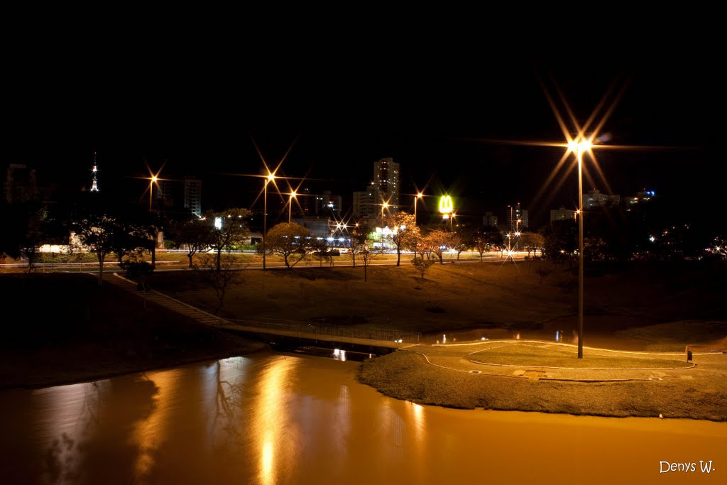 Vitória regia, a noite