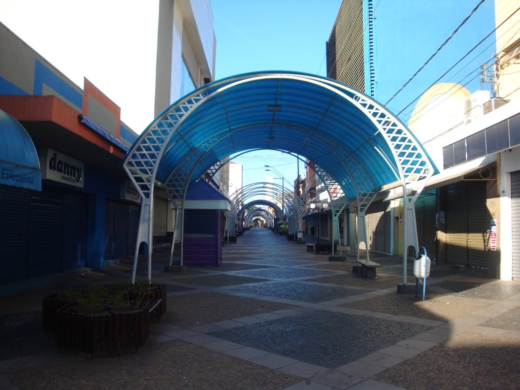 Rua Batista de Carvalho ( Calçadão )  Bauru SP