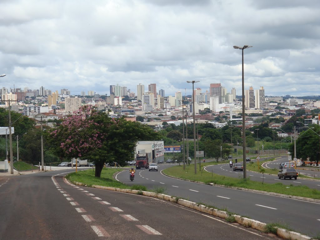 Av Moussa N Tobias  Bauru SP  Brasil