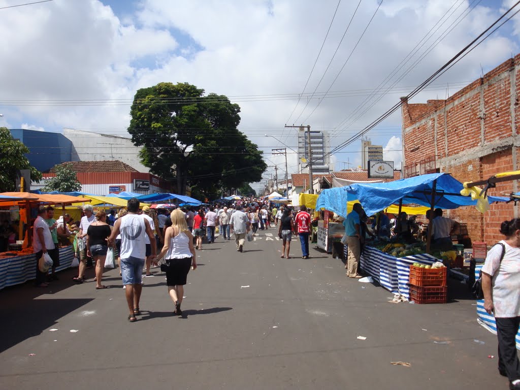 Feira livre  rua Gustavo Maciel  Bauru SP  Brasil