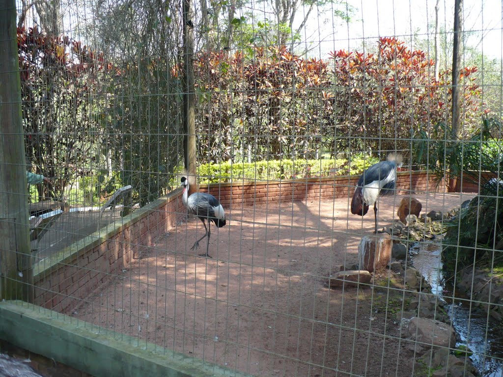 Zoológico de Bauru