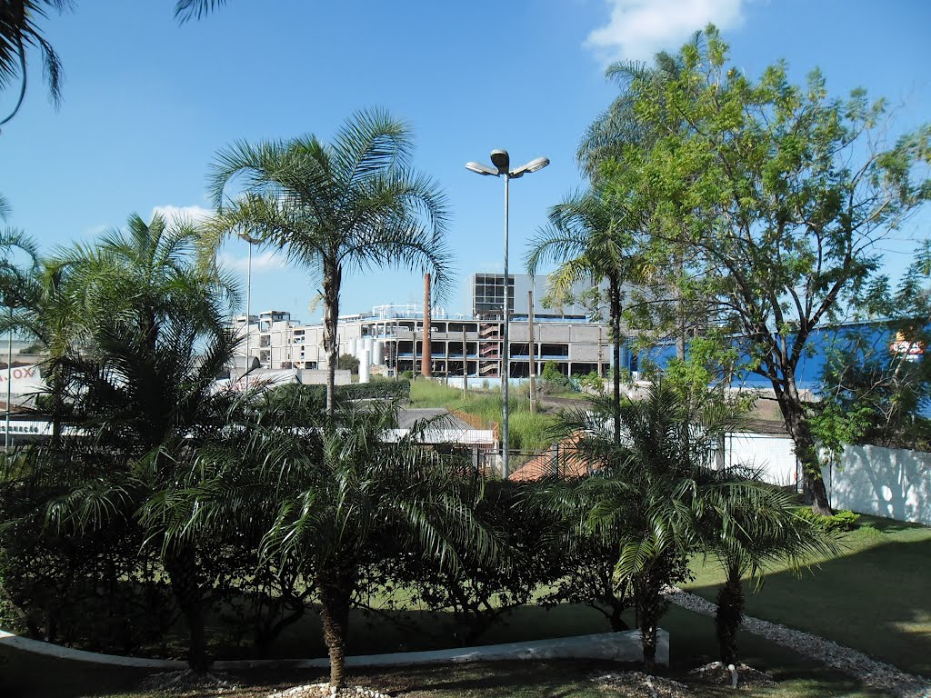 Bauru
