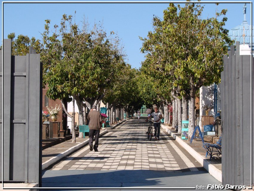 cemitério - Botucatu SP -  Foto: Fábio Barros (www.cidade3d.uniblog.com.br)