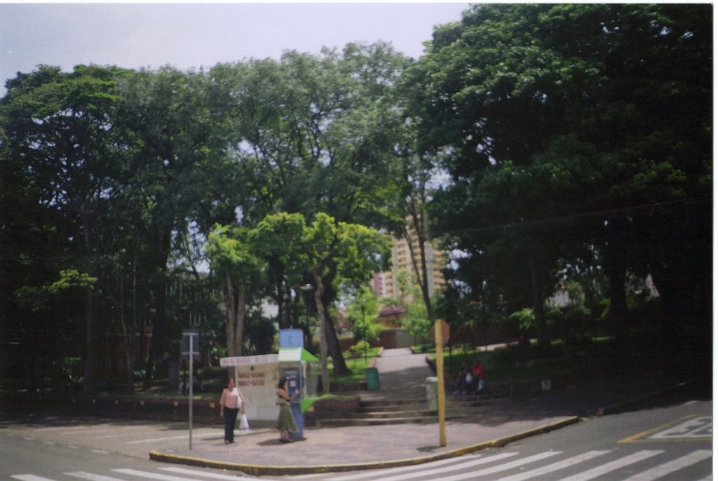 Antiga   Praça  do  Bosque.