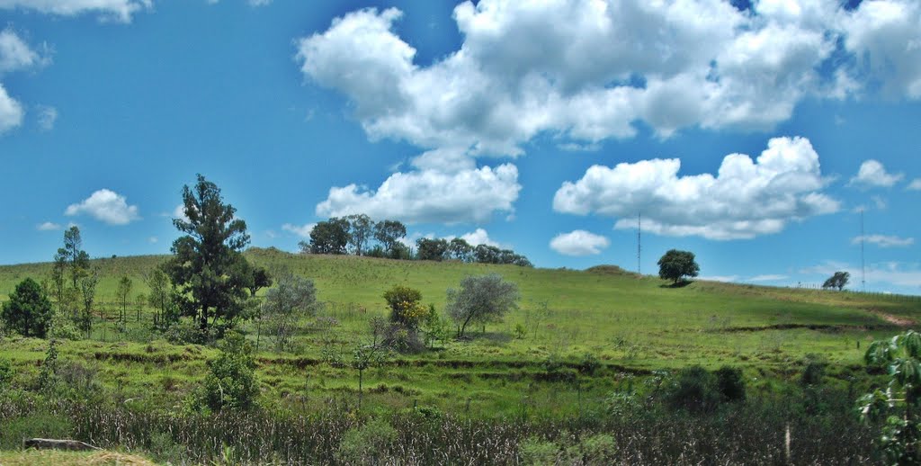paisagem rural