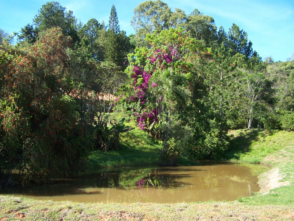 Sitio do Lago - Domingos Sartori
