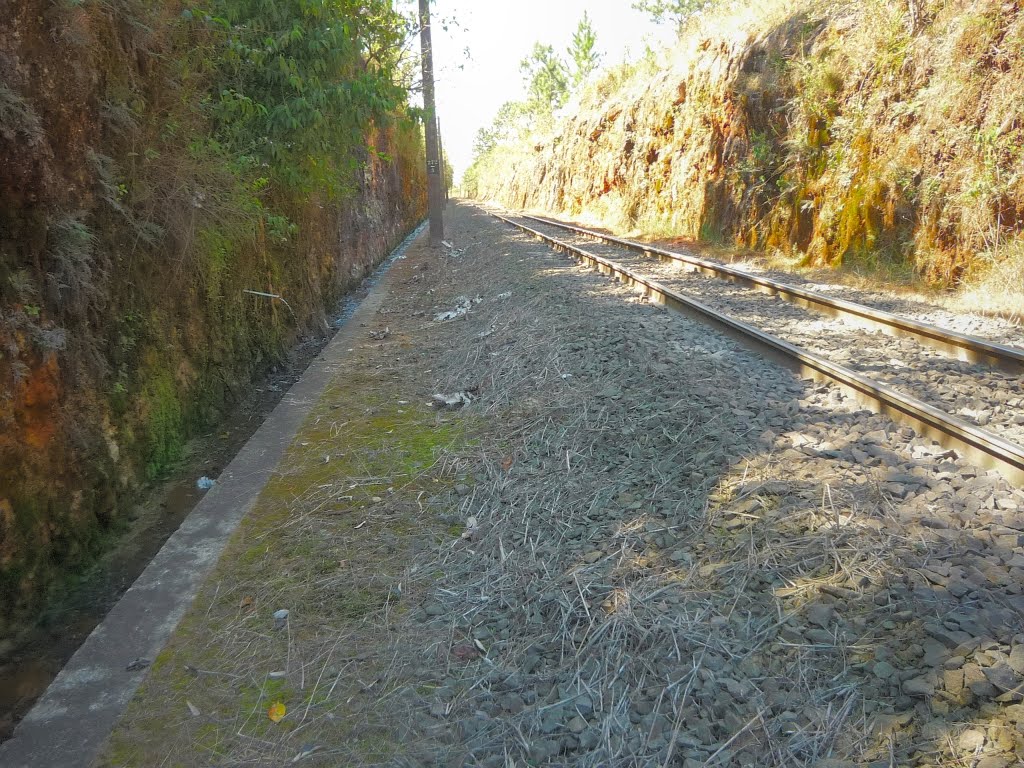 Trecho Rubião-Botucatu       Km 272/3