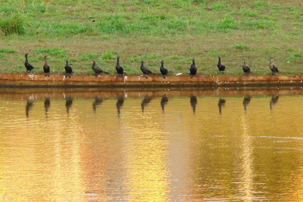 lago do silverio