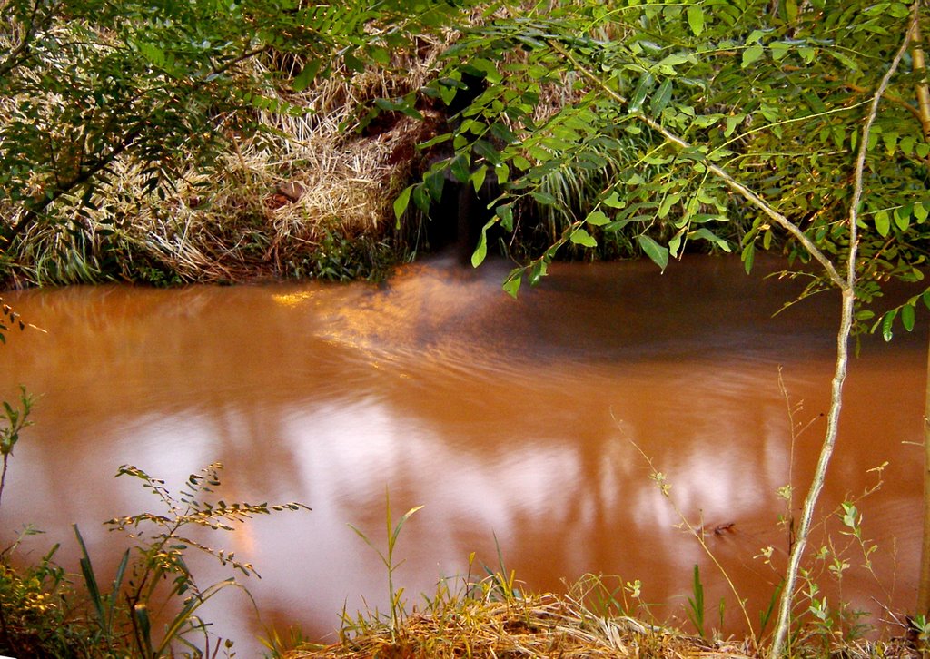 Poluição no Rio Jaú, dia 23/12/2008, 20:15hs.