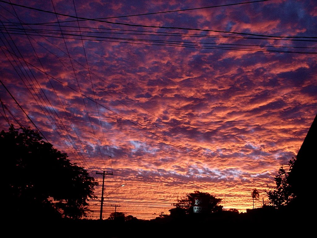 armagedon
