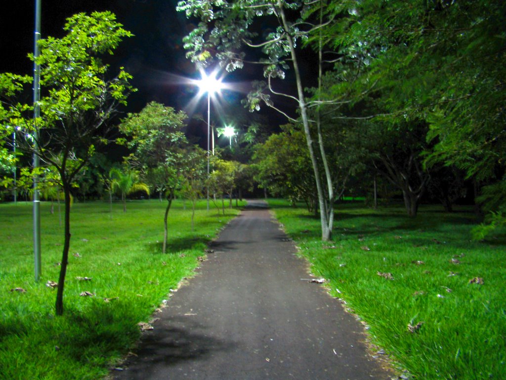 Noite no parque do Rio Jaú