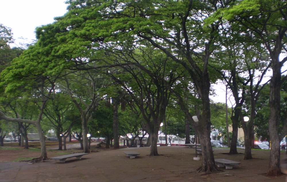 Praça Da Estação Rodoviária - Jaú