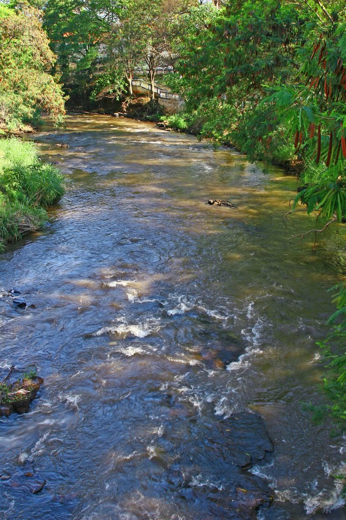 Rio Jaú/Ponte da Rua Tenente Lopes