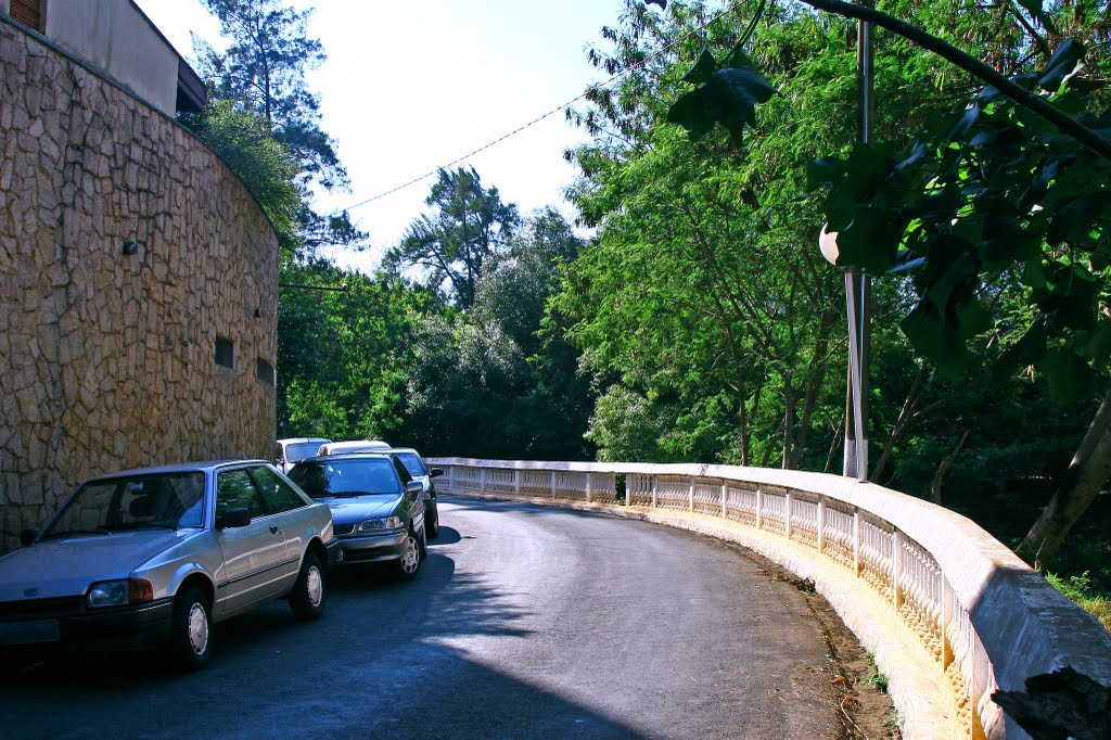 Av.Tunin Cape Lozza