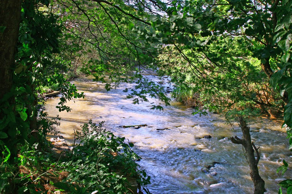 Rio Jaú - Visto da Rua Francisco C. Paiva