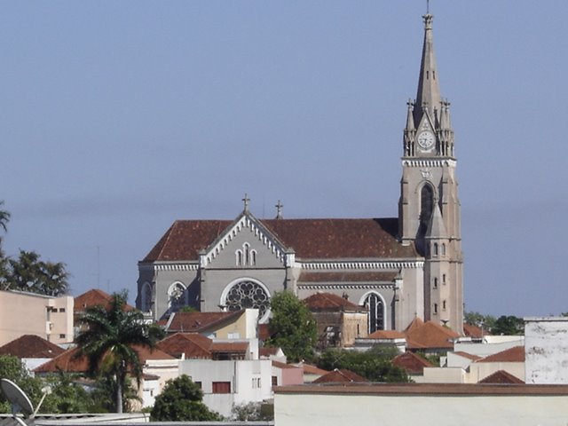 Vista do quintal da minha casa