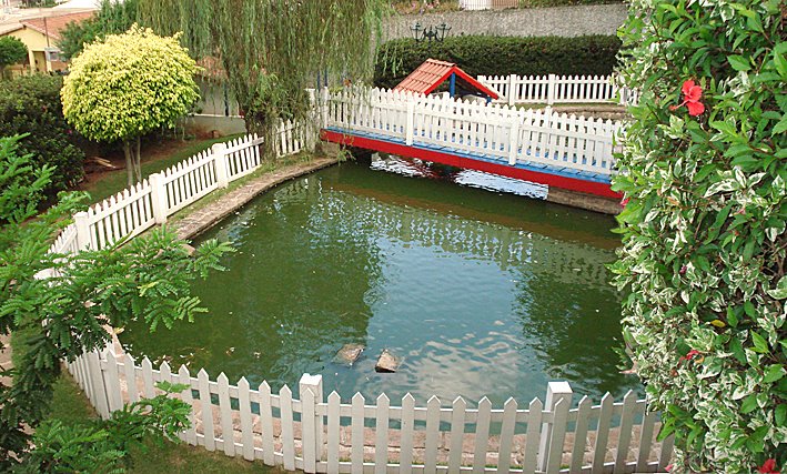 O lago da Escola Lígia Machado