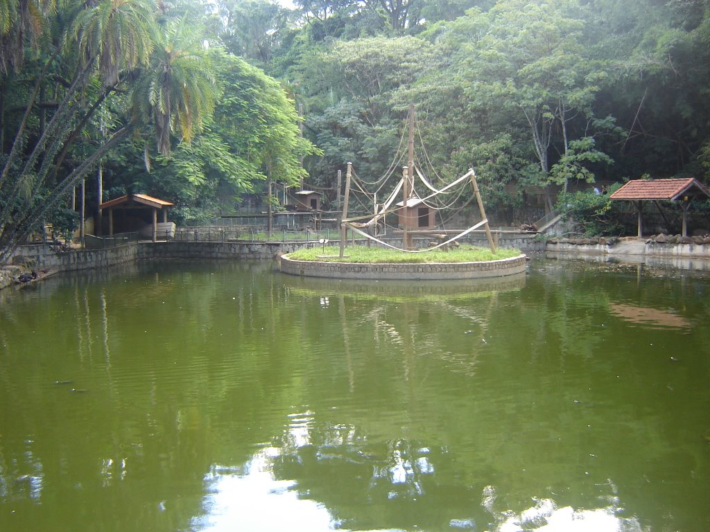 Lago no Bosque dos Jequitibás