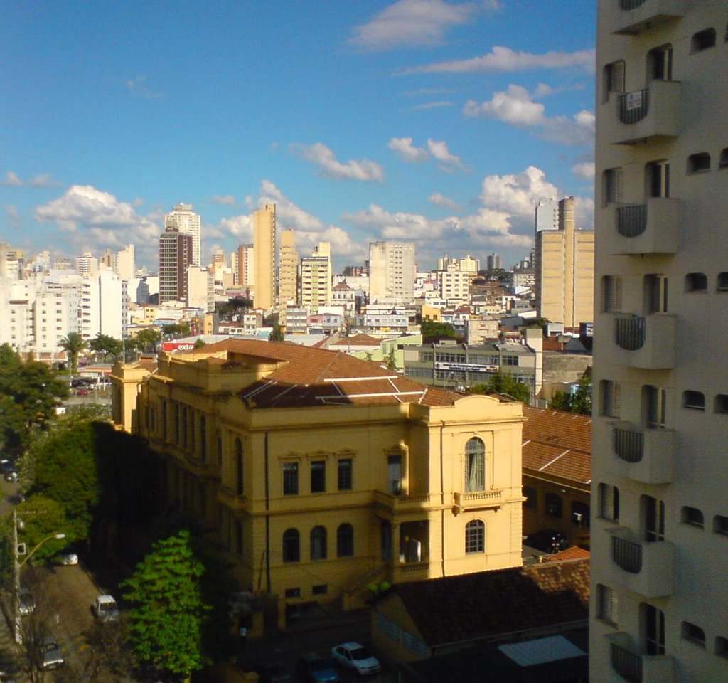 Cotuca
