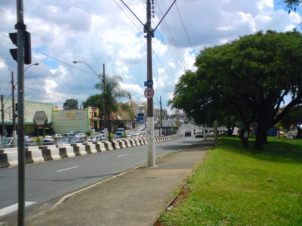 Av. das Amoreiras