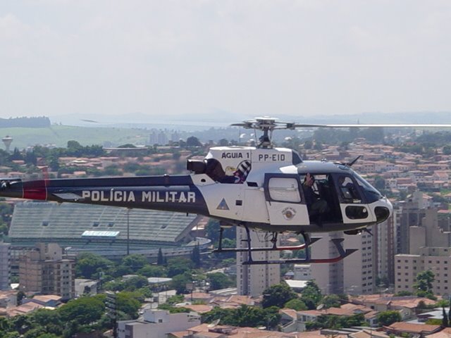 Águia - PM