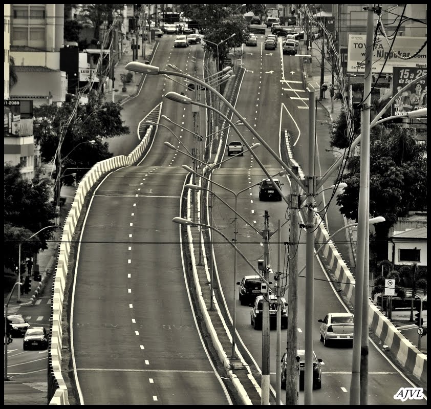 ...em Campinas - SP - BRASIL.