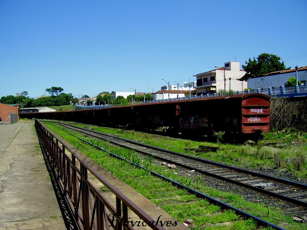 Vagões no pátio da Estação ferroviária de Catanduva