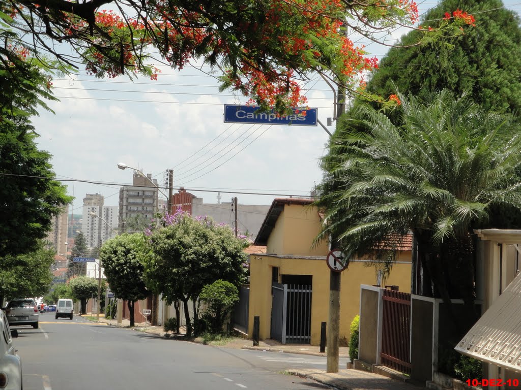 Cidade de Catanduva
