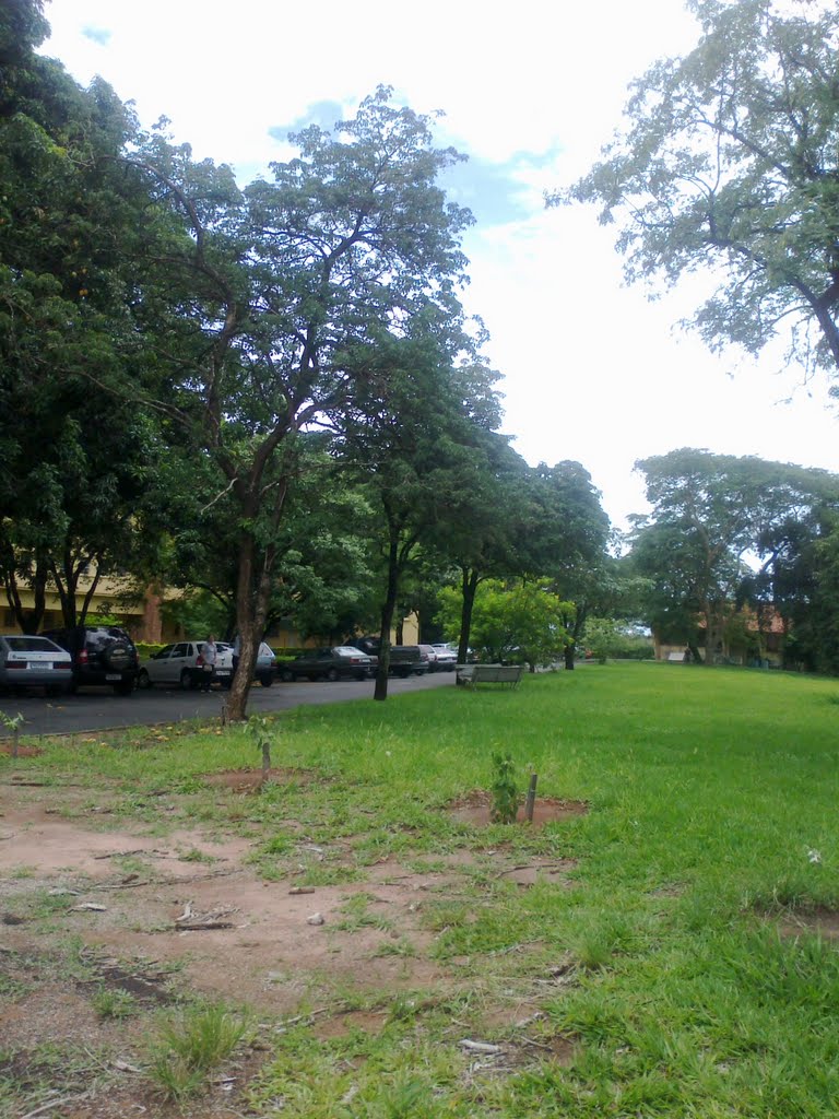 Jardim do Hospital Emilio Carlos - Catanduva-SP