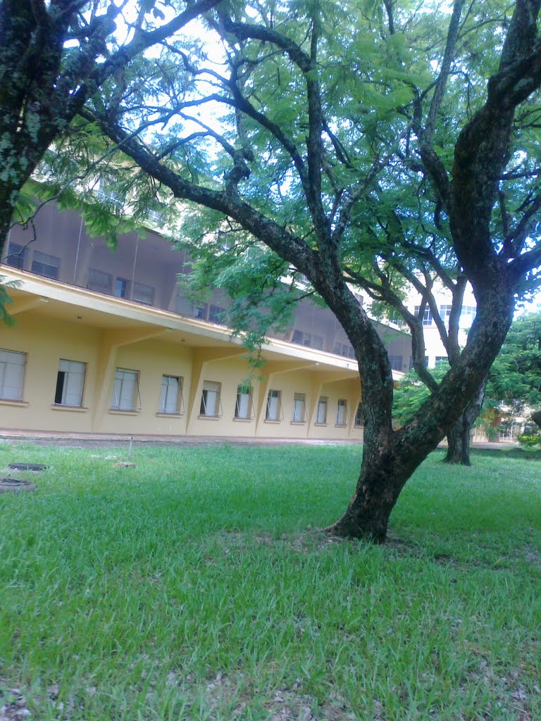 Jardins do Hospital Emilio Carlos - Catanduva-SP