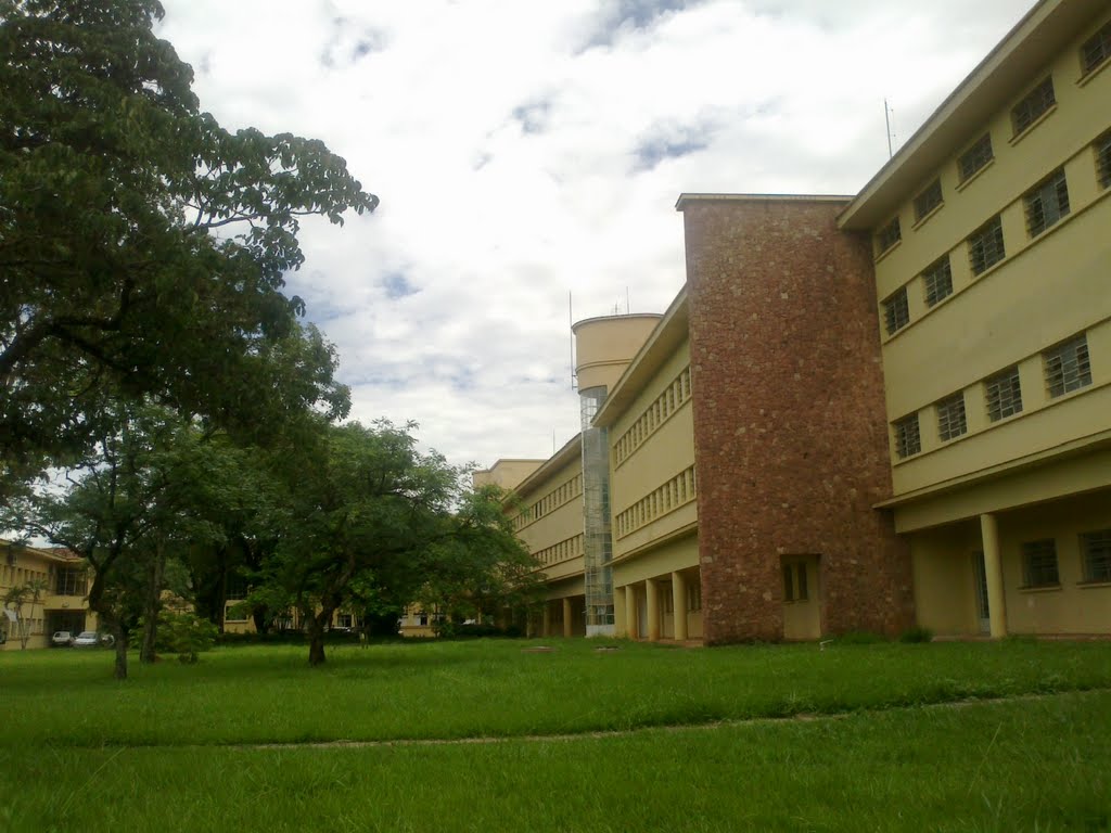Catanduva