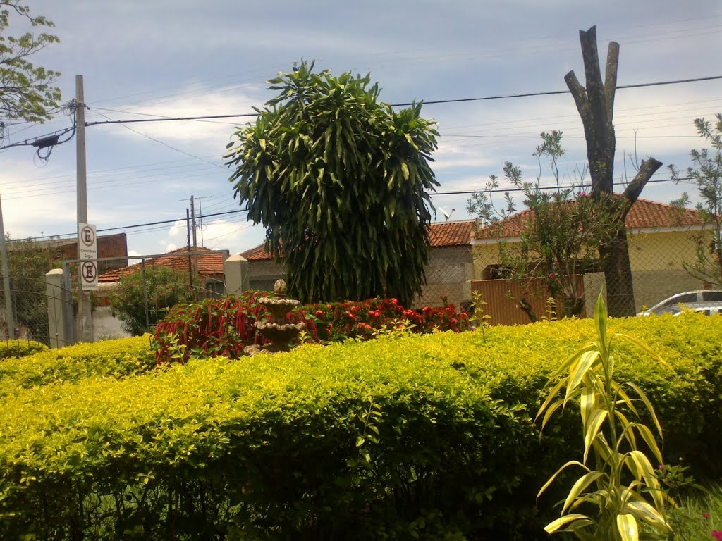 Jardim da Escola Elias Nechar - Catanduva-SP em 06/01/2012