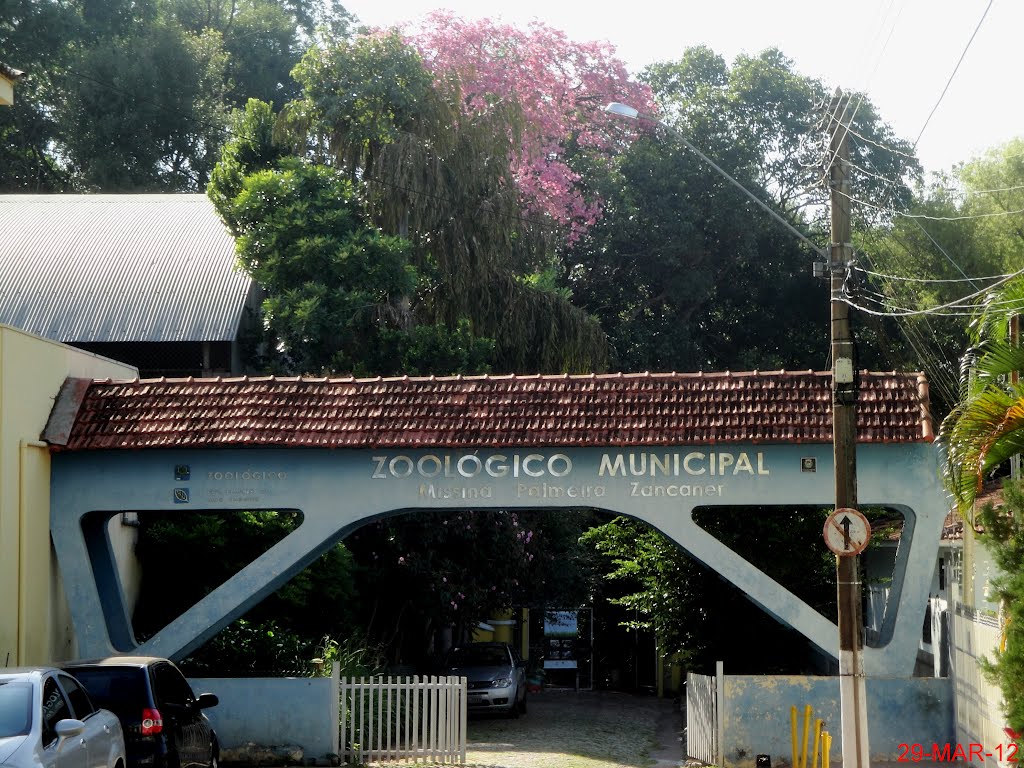 O Zoológico Municipal de Catanduva "Missina Palmeira Zancaner" conta com 300 animais de 70 espécies diferentes em uma área de mata nativa preservada perto do centro da cidade.