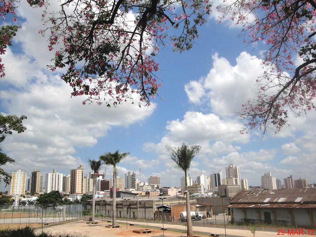 Centro da Cidade de Catanduva